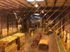 2601 W College Ave photo